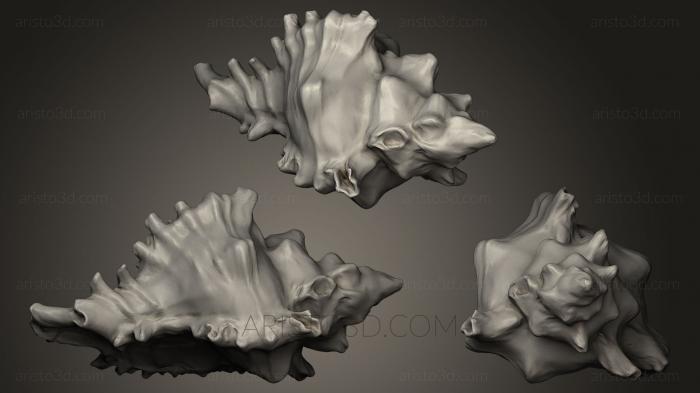 Stones and shells (ROCKS_0021) 3D model for CNC machine